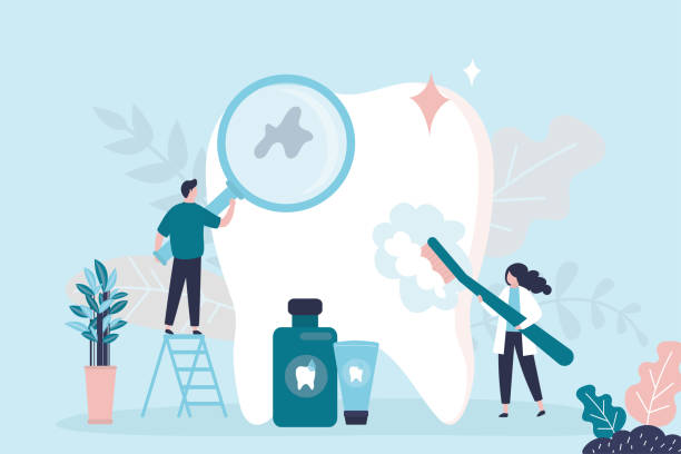 Trusted Melody Hill, IN Holistic Dental Care Services Experts